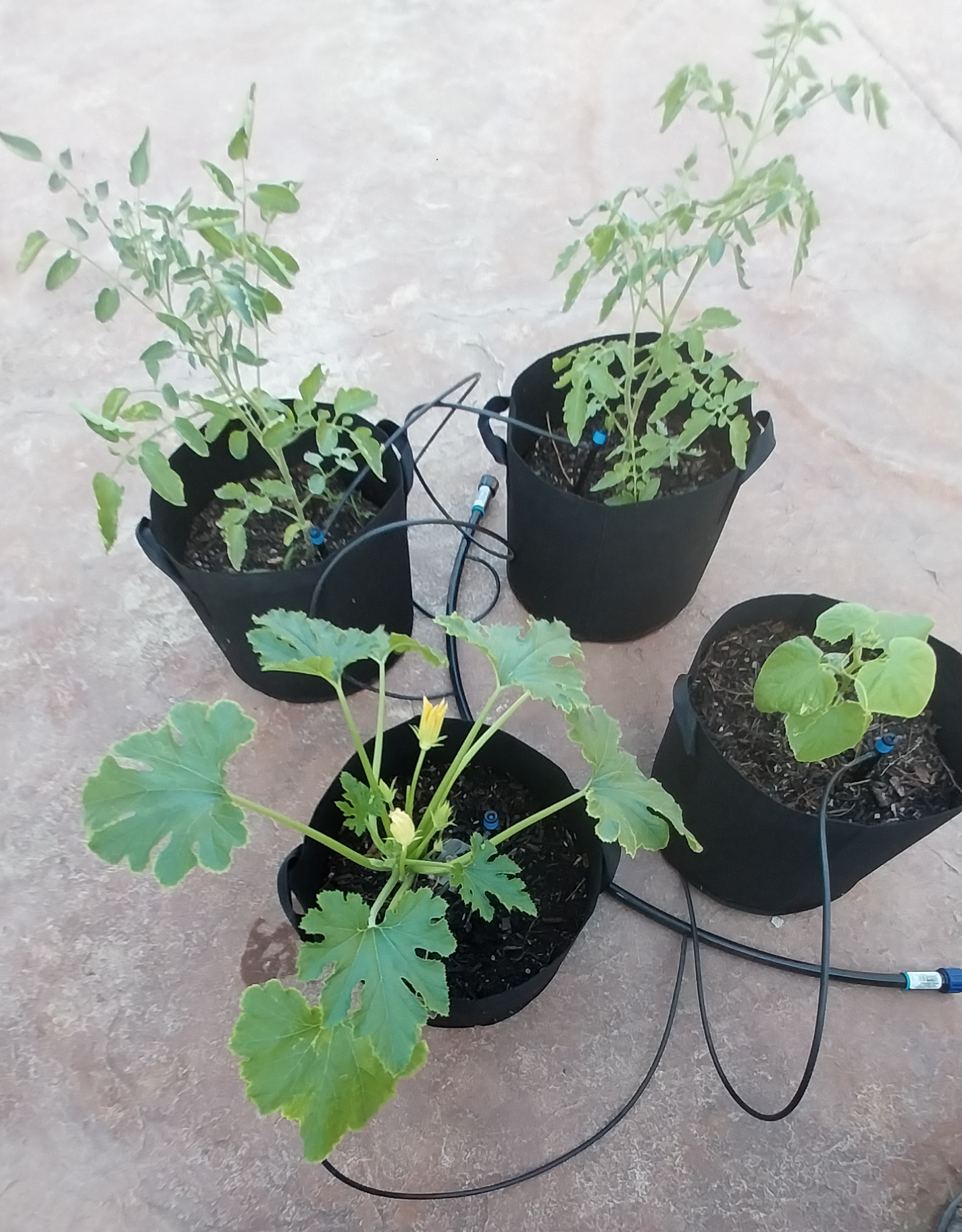 4 grow bag unit