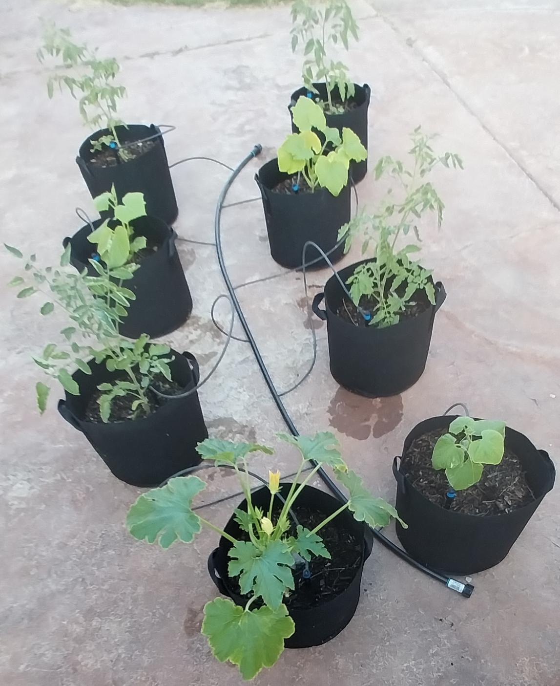 8 grow bag unit